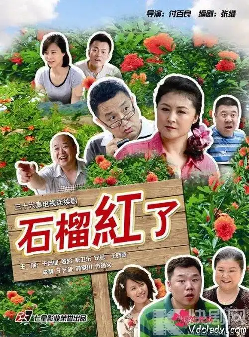 这45部农村题材电视剧你看过多少部