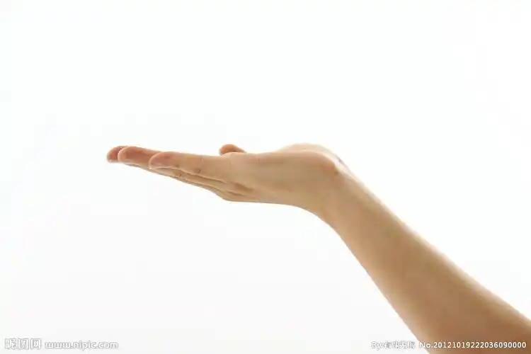 手掌托起图片