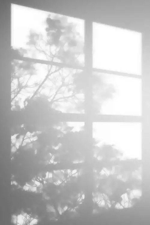 看看我珍藏多年的光影素材:当然有了!