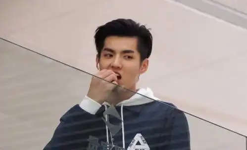 路人镜头下的吴亦凡:图2拍糊了依旧帅气,最后一张最搞笑!