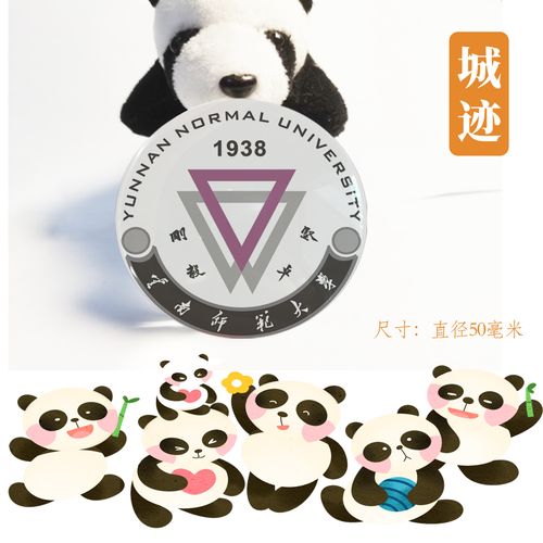 云南师范大学冰箱贴校徽云南师范大学纪念品校友伴手礼磁性贴装饰