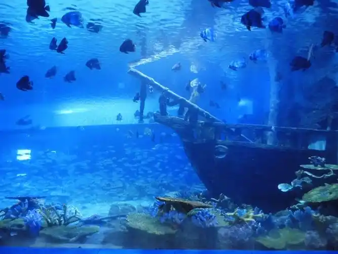 泰州溱湖海洋世界门票电子票快速入园免预约家庭亲子出游探索海洋未知