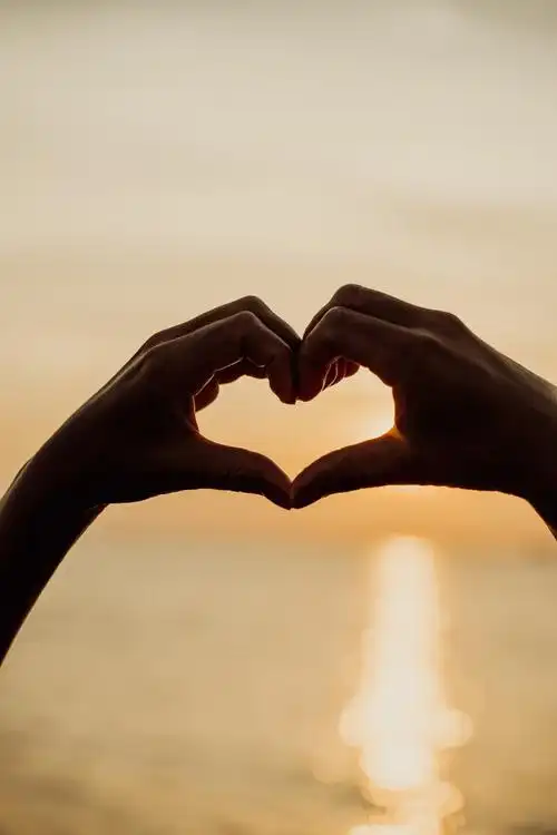 温馨的心形手势1