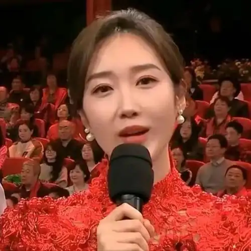 央视春晚女主持人,清一色网红脸,中国女人的端庄大气丢失了!