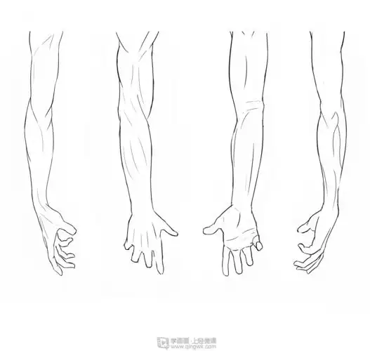 作业:如何学动漫插画之手臂的画法与训练技巧 - rh-28-004肥安
