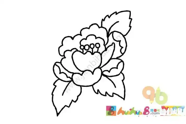 牡丹简笔画分步画法