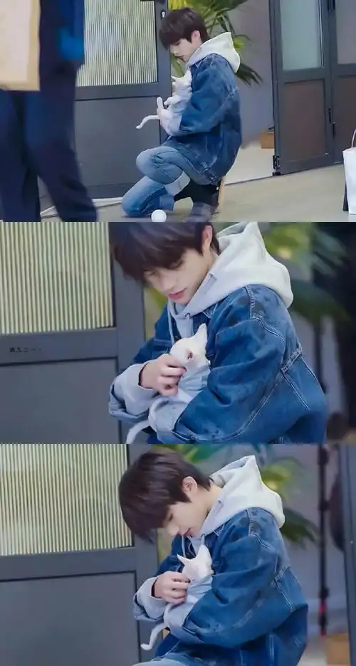 易烊千玺三格图