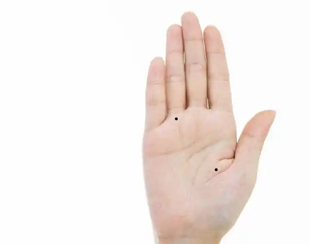 痣相图解掌中有痣会孤独一生吗