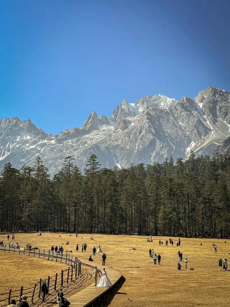 云南玉龙雪山|云杉坪72."山不来见我 我自去见山" 在山脚下 - 抖音