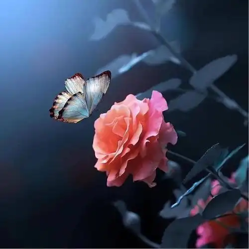 让人过目不忘的头像 高清好看高雅有气质的微信头像图片_微信头像