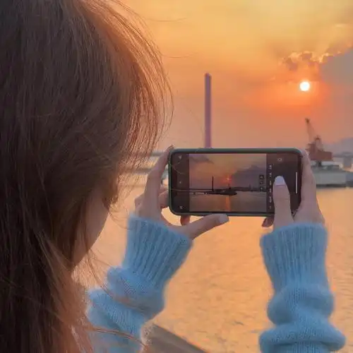 女生头像海边女头三色堇儿/禁盗