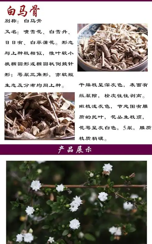 批发草药材白马骨六月雪 健脾利湿路边荆满天星 本棵保药含量