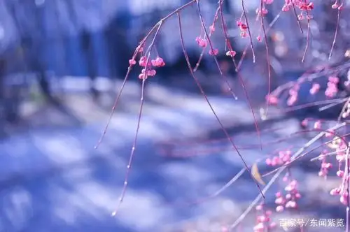 静- 堆糖,美图壁纸兴趣社区