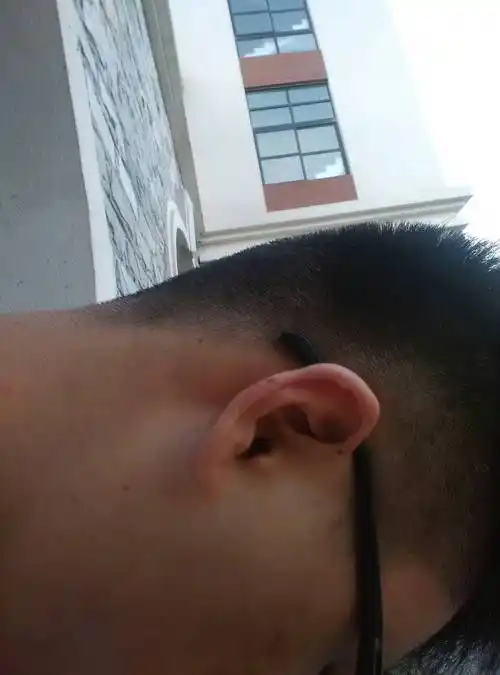 有没有会看耳朵的,这样的一生运势怎样,答得准多倍奖赏