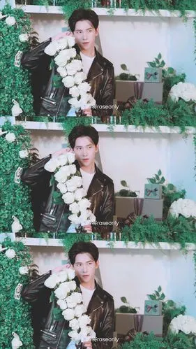 【拼图系列】杨洋 咩咩 吼吼看 - 堆糖,美图壁纸兴趣社区