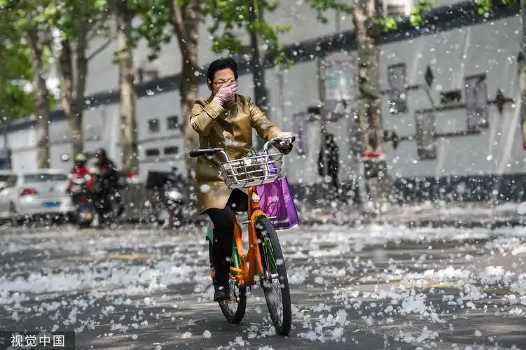 杨柳絮,就是杨树或柳树的种子,有白色绒毛,随风飞散