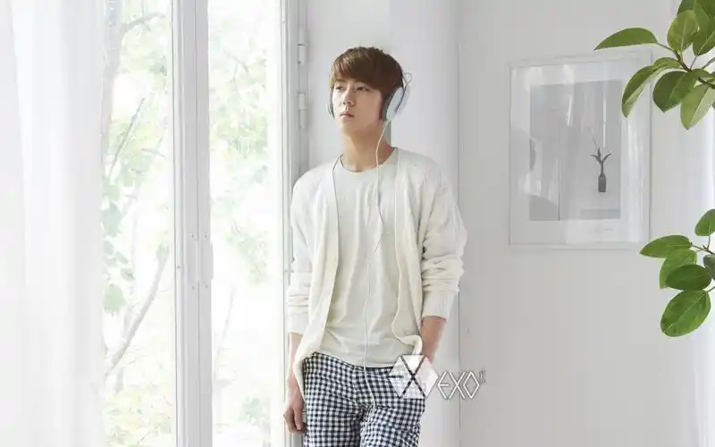 养眼帅哥exo吴世勋高清电脑桌面壁纸第一辑