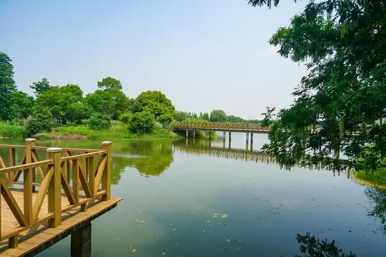 欢天喜地游溧阳长荡湖湿地公园