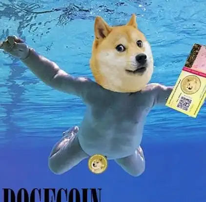 时间真是一把杀猪刀,表情包doge都13岁了,和从前简直判若两汪_汪星