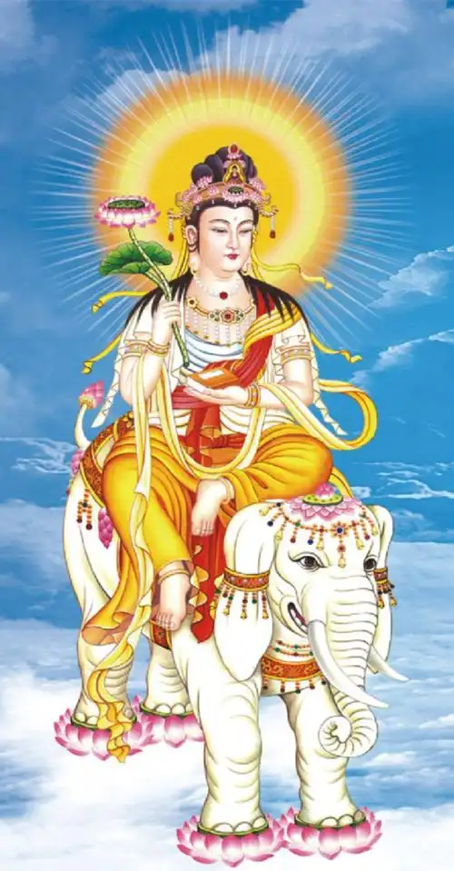 文殊普贤菩萨手持莲花荷花白色大象坐骑宗教人物印花十字绣-阿里巴巴