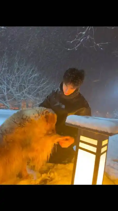 宋威龙卢昱晓 难哄