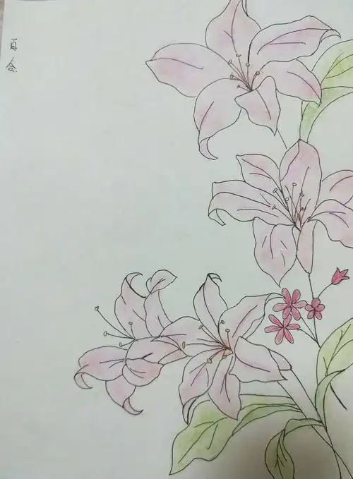 白芳铭12岁绘画作品欣赏