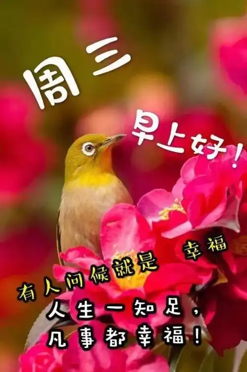 2021牛年6月23日夏季微信群发周三快乐图片问候祝福语星期三祝福漂亮