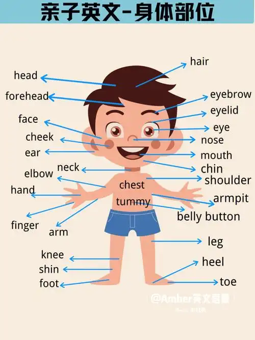 所以我就快马加鞭总结了常见身体部位的单词,以及跟身体相关的tpr指令