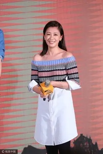贾静雯三胎产后复出 身材丰满胖出双下巴