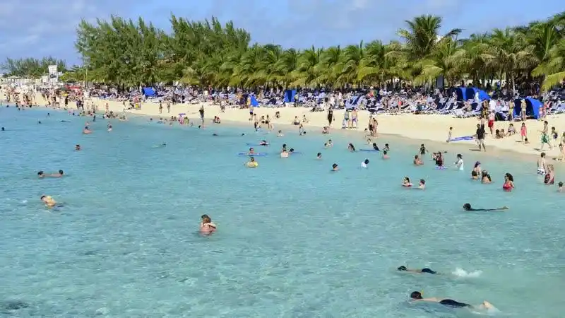 凌点网搜索到143个与游泳实拍相关的视频素材作品正版商用高清游泳