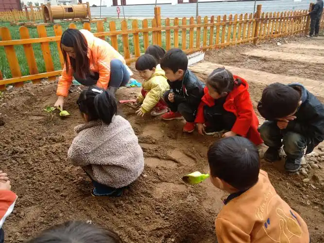 老师为小朋友示范讲解种黄瓜苗的具体方法,小朋友一个个跃跃欲试.