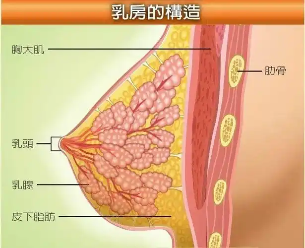 你们都试过乳头发痒吗?这是为什么?正常吗?-常青藤健康网