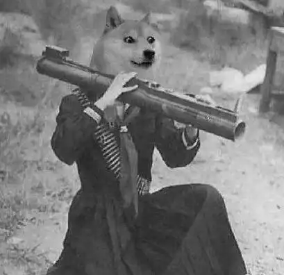 扛大炮 - 无处不在的doge_动图_doge_搞笑_无节操表情