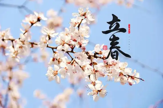立春节