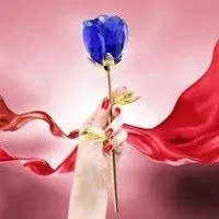 玫瑰花头像图片唯美 红色玫瑰花头像_微信头像图片大全