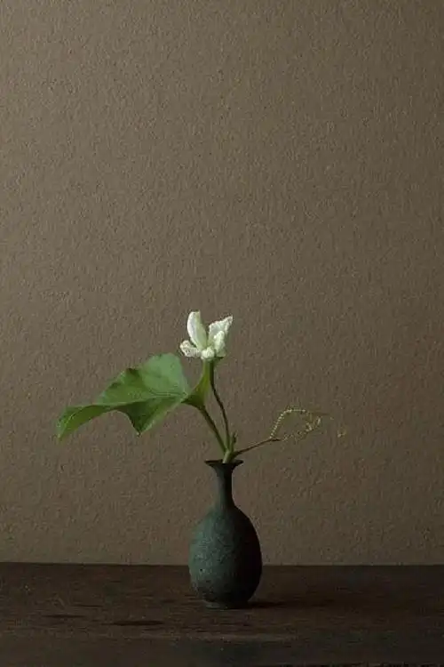 唯美 人生最高境界:佛为心,道为骨,儒为表