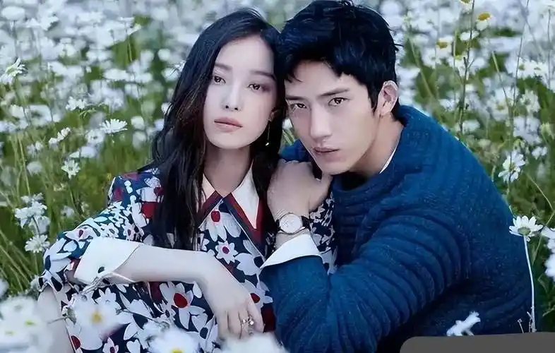 事实证明,离开张艺谋10年的倪妮,终于"活"过来了_电影_合作_金陵