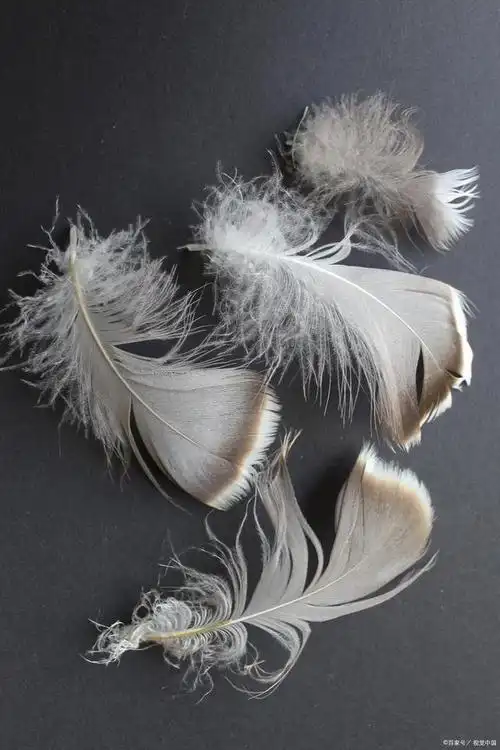 岁月静好是片刻,一地鸡毛是日常