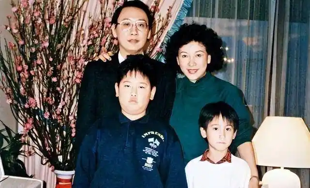 汤臣一品老板是谁,汤臣一品房价多少钱一平(汤珈铖的人生有多坎坷)