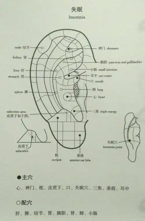 最全中医耳诊名师笔记总结全部干货