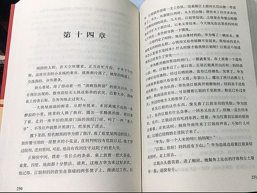 全新正版限区包邮红岩罗广斌杨益中国青年出版社初中中学生课外阅读