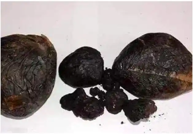 1729年,清政府颁布了第一道禁止贩运,禁止吸食鸦片烟的诏令.