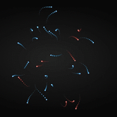 wallpaperengine鼠标互动烟花动态壁纸