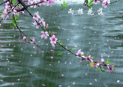 400_282gif 动态图 动图