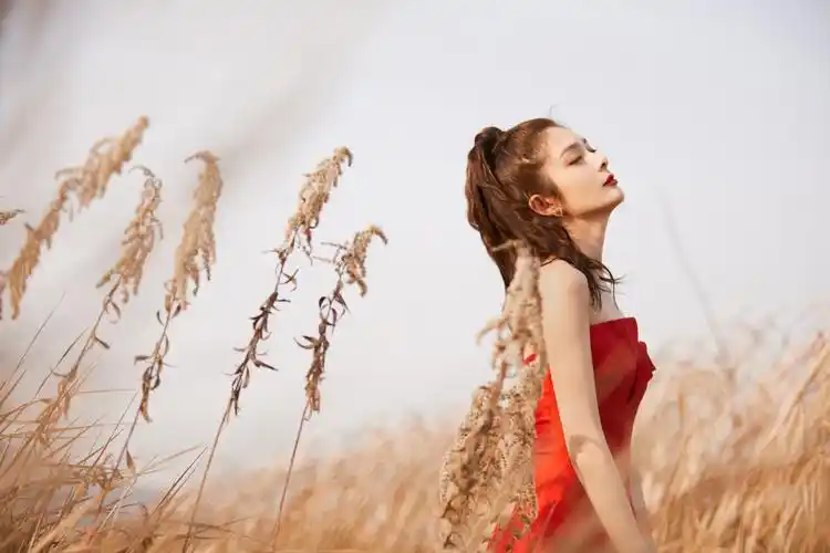 傅菁江苏春晚舞台造型来了~红色抹胸礼服裙搭配披肩卷发_高清图集