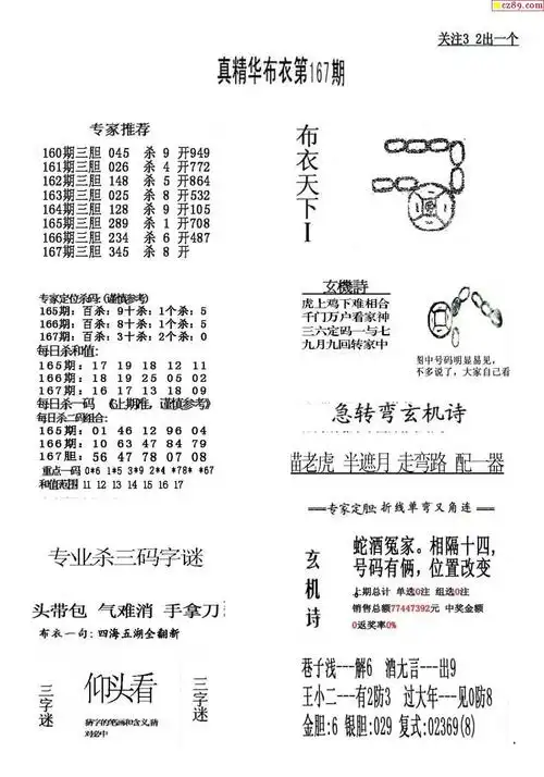 真精华布衣报2022167期3d图谜