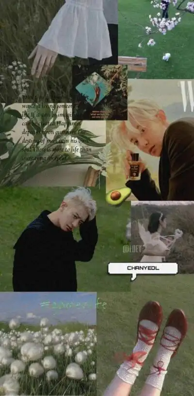 exo拼接壁纸朴灿烈