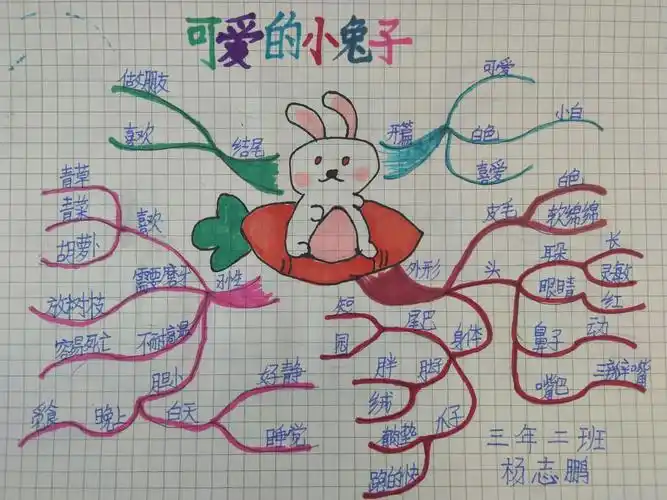 翰墨小学 三年二班 杨志鹏 思维导图