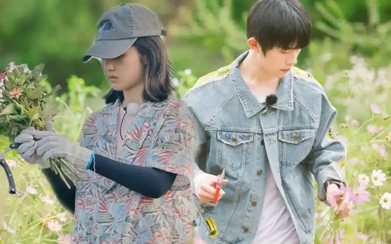 【千枫 | 易烊千玺×张子枫】 那就这样吧 be_哔哩哔哩 (゜-゜)つロ