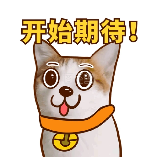 猫咪期待可爱萌宠开始期待gif表情包